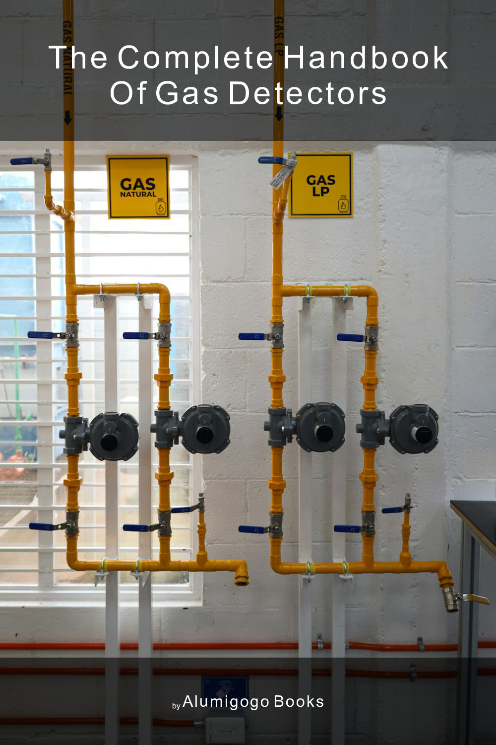 Cover of The Complete Handbook of Gas Detectors