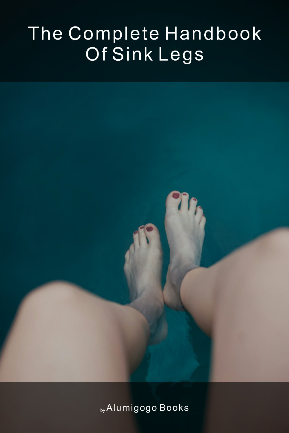 Cover of The Complete Handbook of Sink Legs