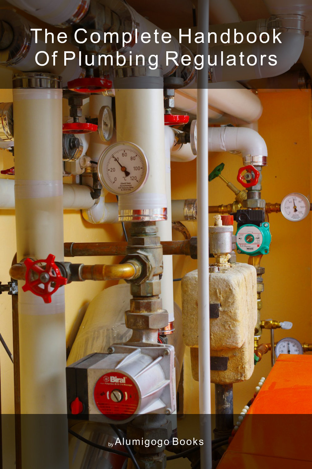 Cover of The Complete Handbook of Plumbing Regulators