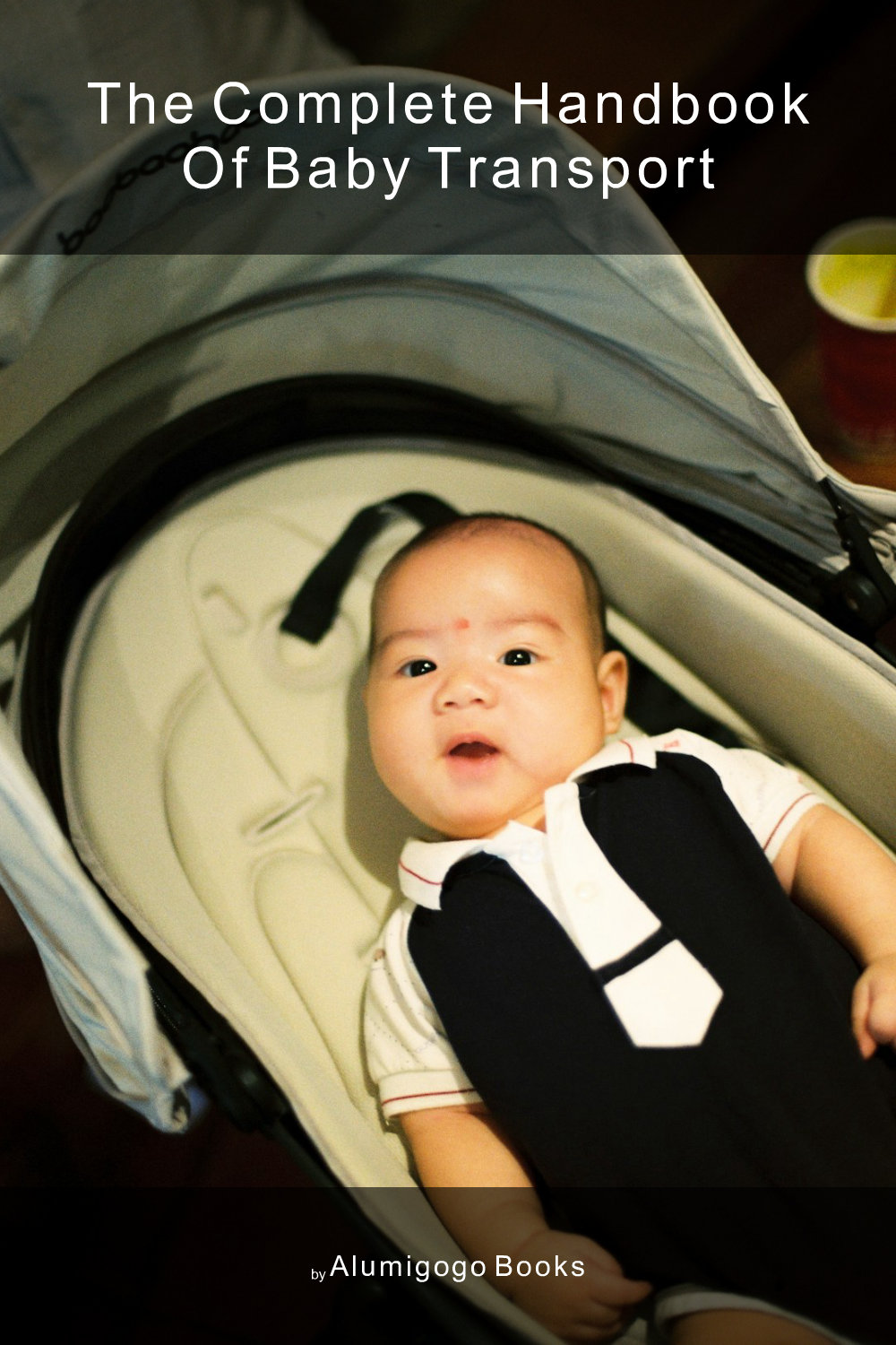 Cover of The Complete Handbook of Baby Transport