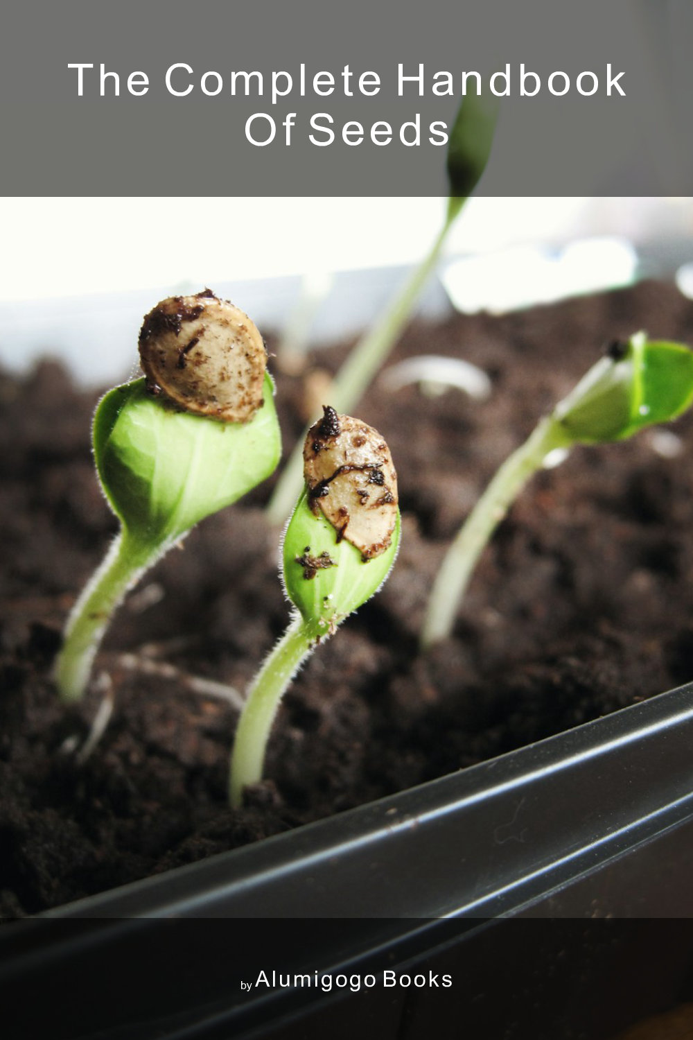 Cover of The Complete Handbook of Seeds
