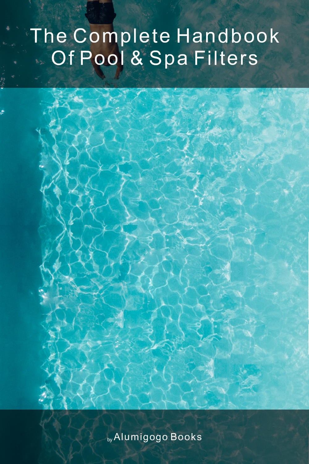 Cover of The Complete Handbook of Pool & Spa Filters