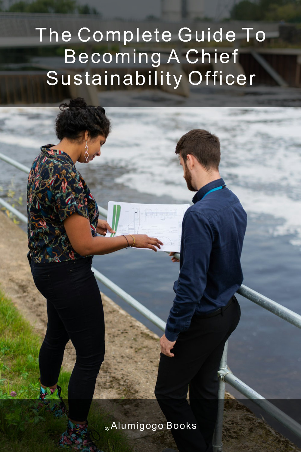 Cover of The Complete Guide to Becoming A Chief Sustainability Officer