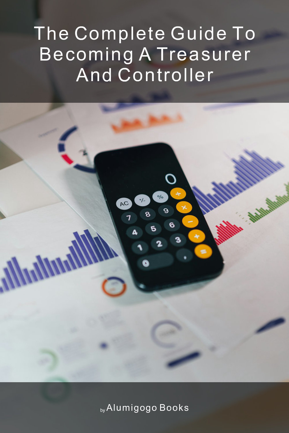 Cover of The Complete Guide to Becoming A Treasurer and Controller