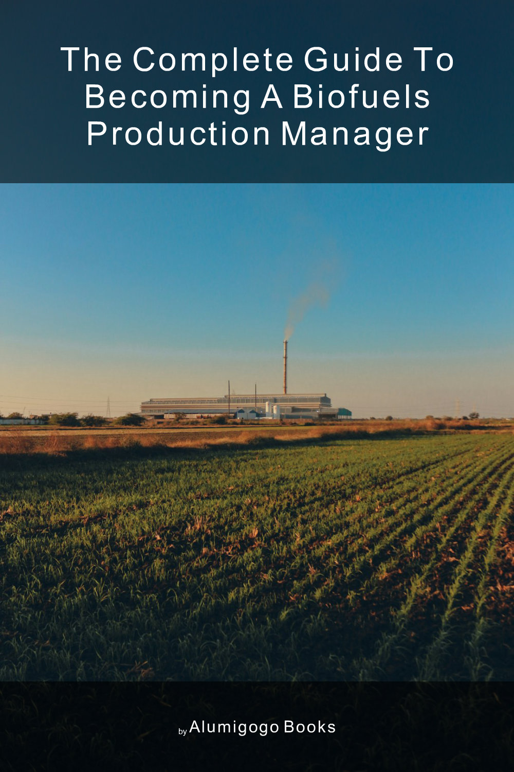 Cover of The Complete Guide to Becoming A Biofuels Production Manager