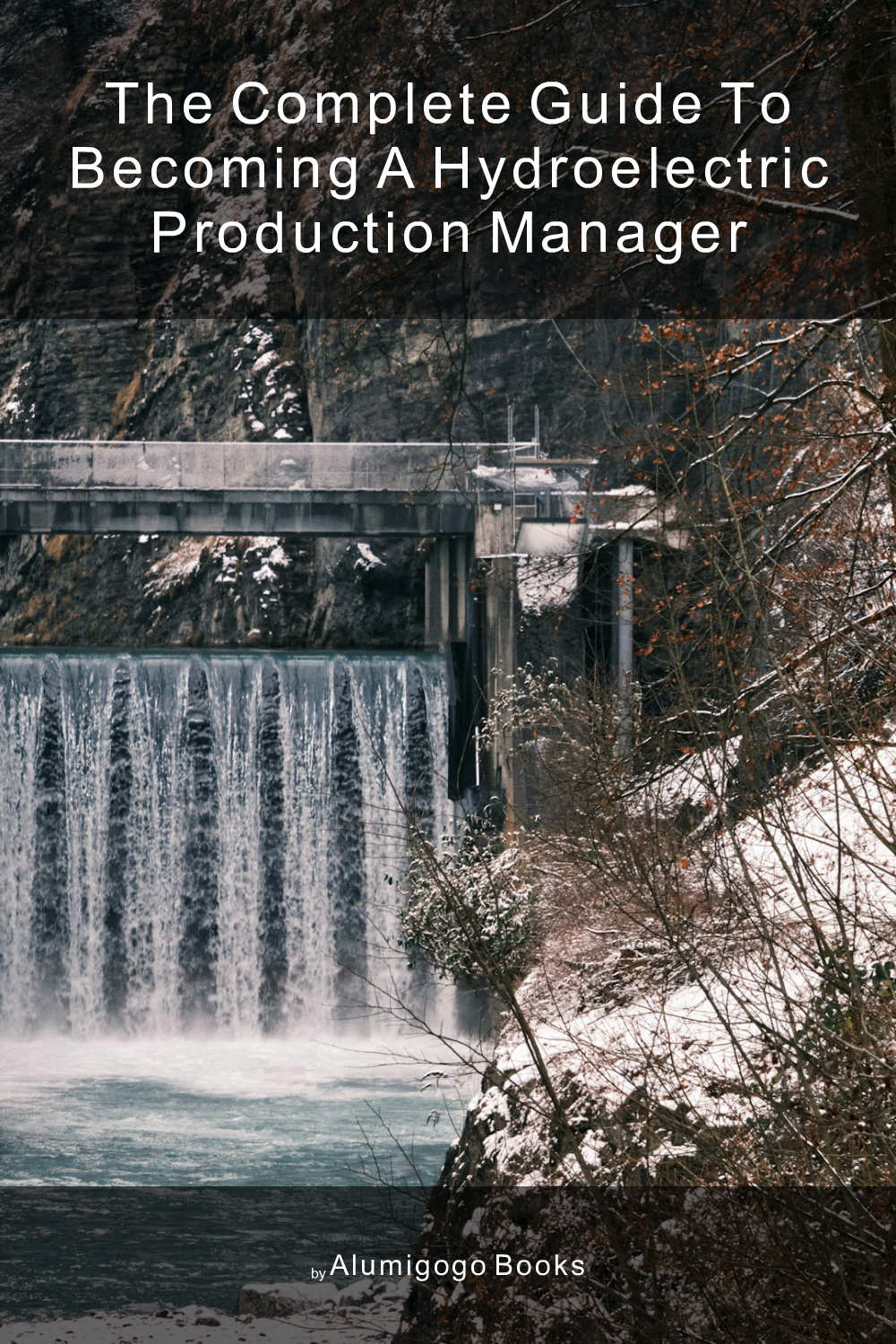Cover of The Complete Guide to Becoming A Hydroelectric Production Manager