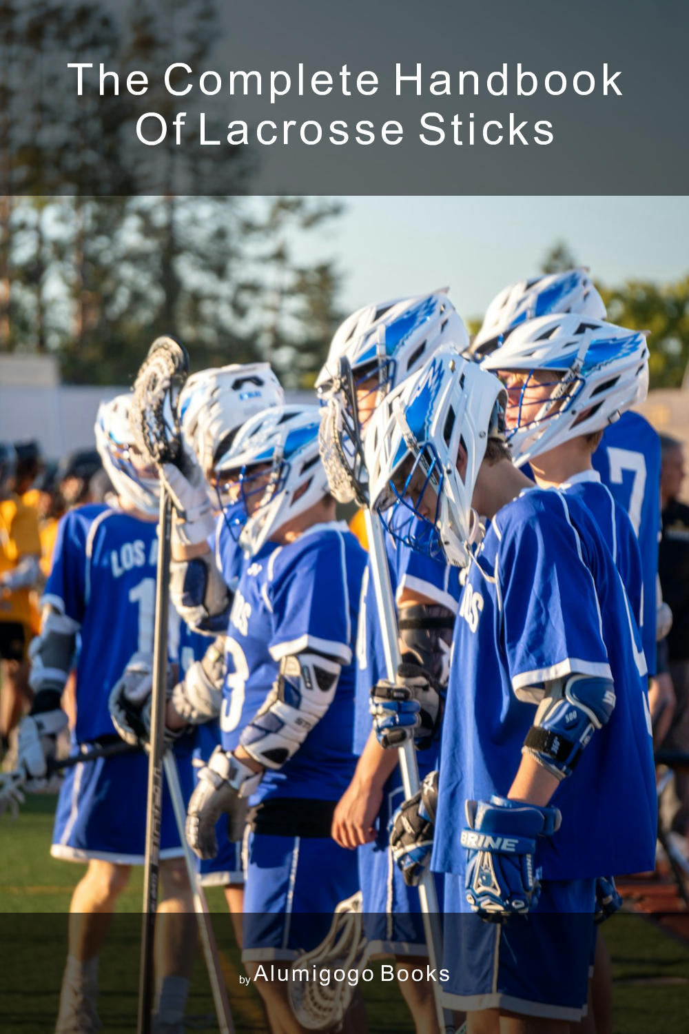Cover of The Complete Handbook of Lacrosse Sticks