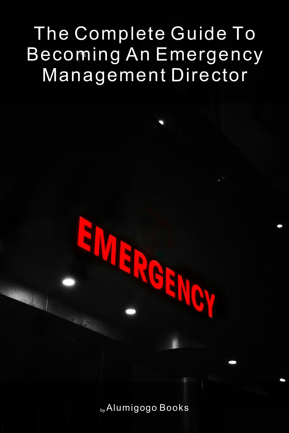 Cover of The Complete Guide to Becoming An Emergency Management Director