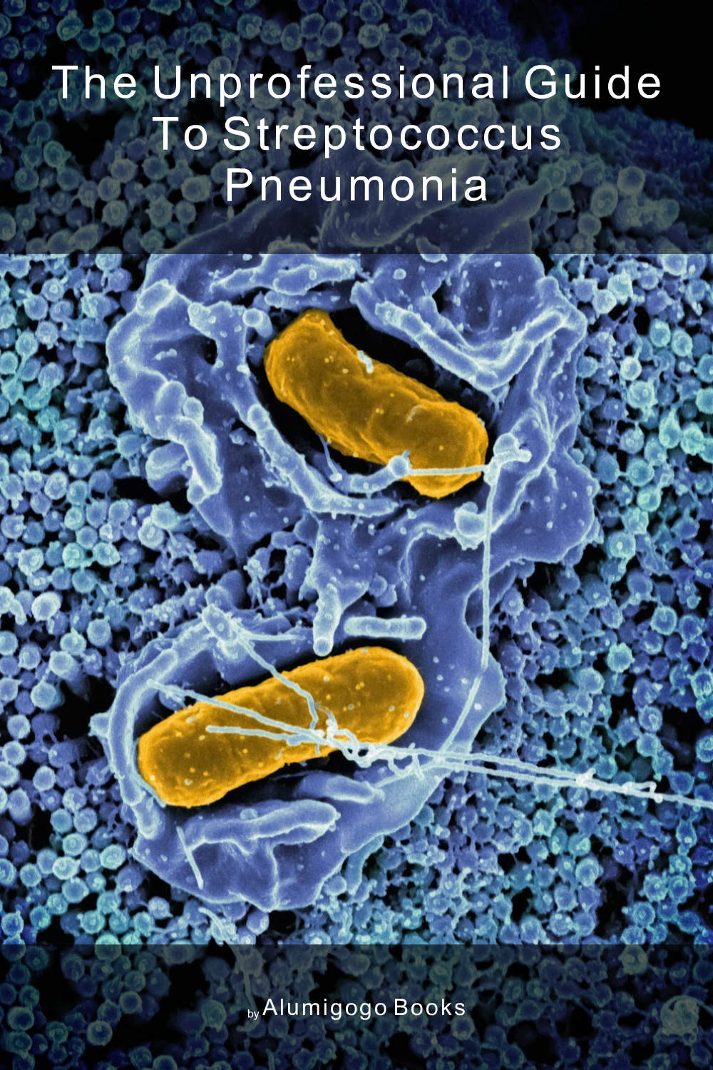 Cover of The Unprofessional Guide to Streptococcus pneumonia