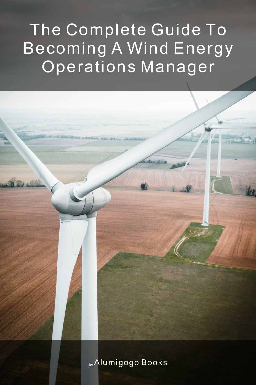 Cover of The Complete Guide to Becoming A Wind Energy Operations Manager