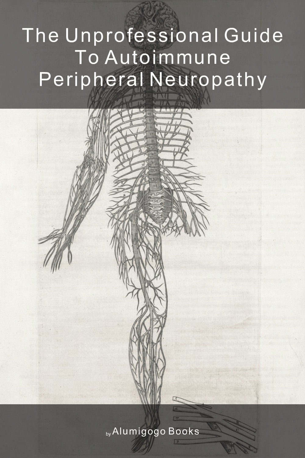 Cover of The Unprofessional Guide to autoimmune peripheral neuropathy