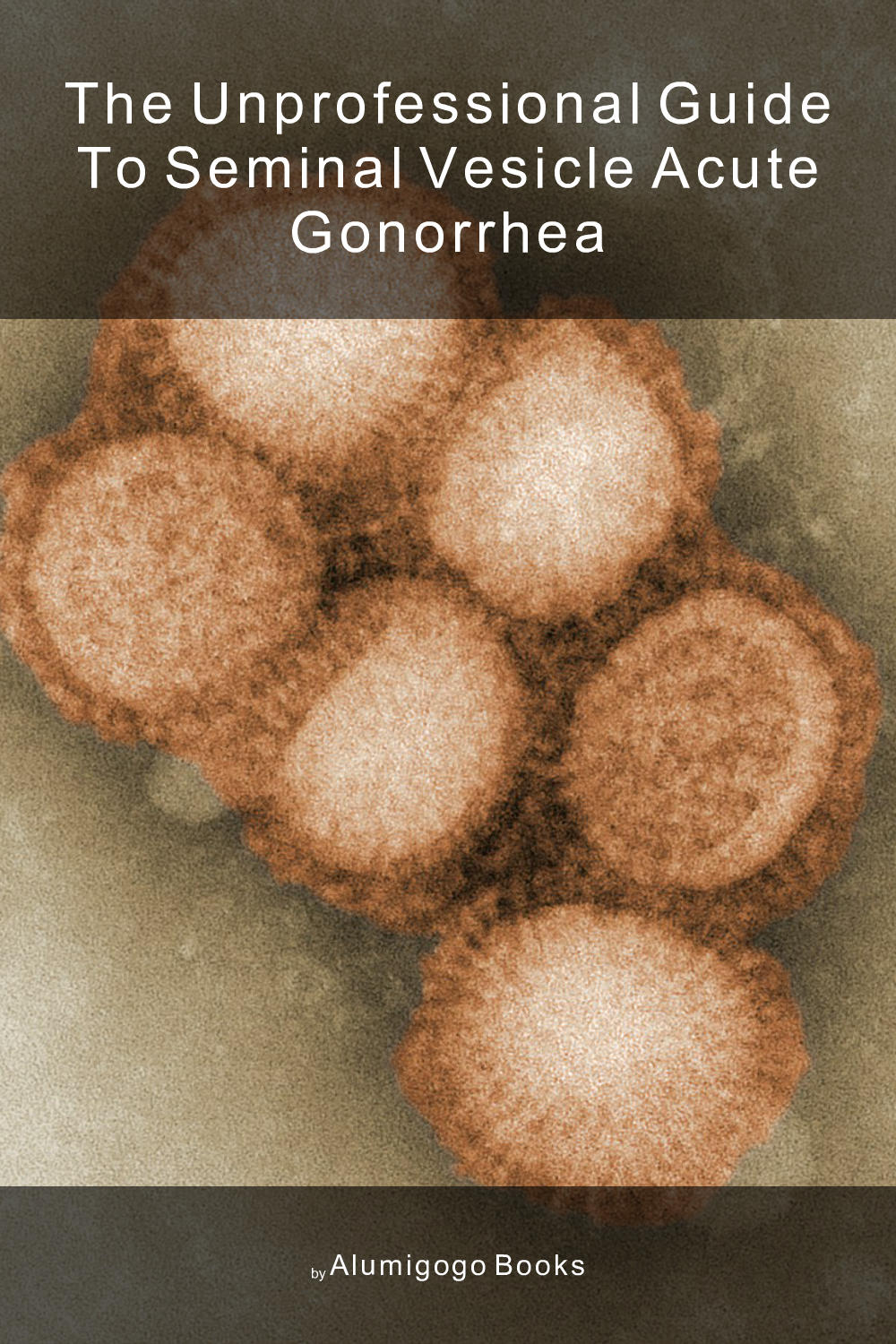 Cover of The Unprofessional Guide to seminal vesicle acute gonorrhea