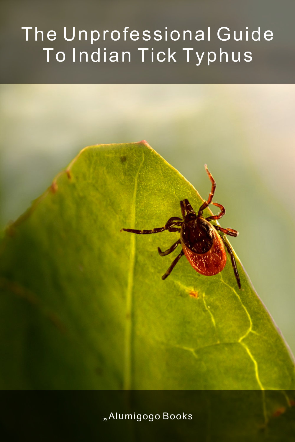 Cover of The Unprofessional Guide to Indian tick typhus