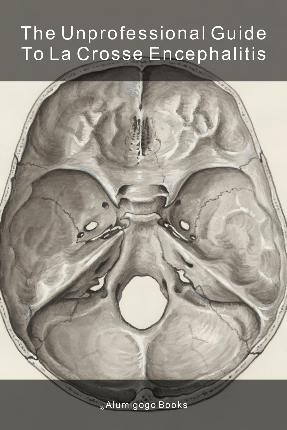 Cover of The Unprofessional Guide to La Crosse encephalitis