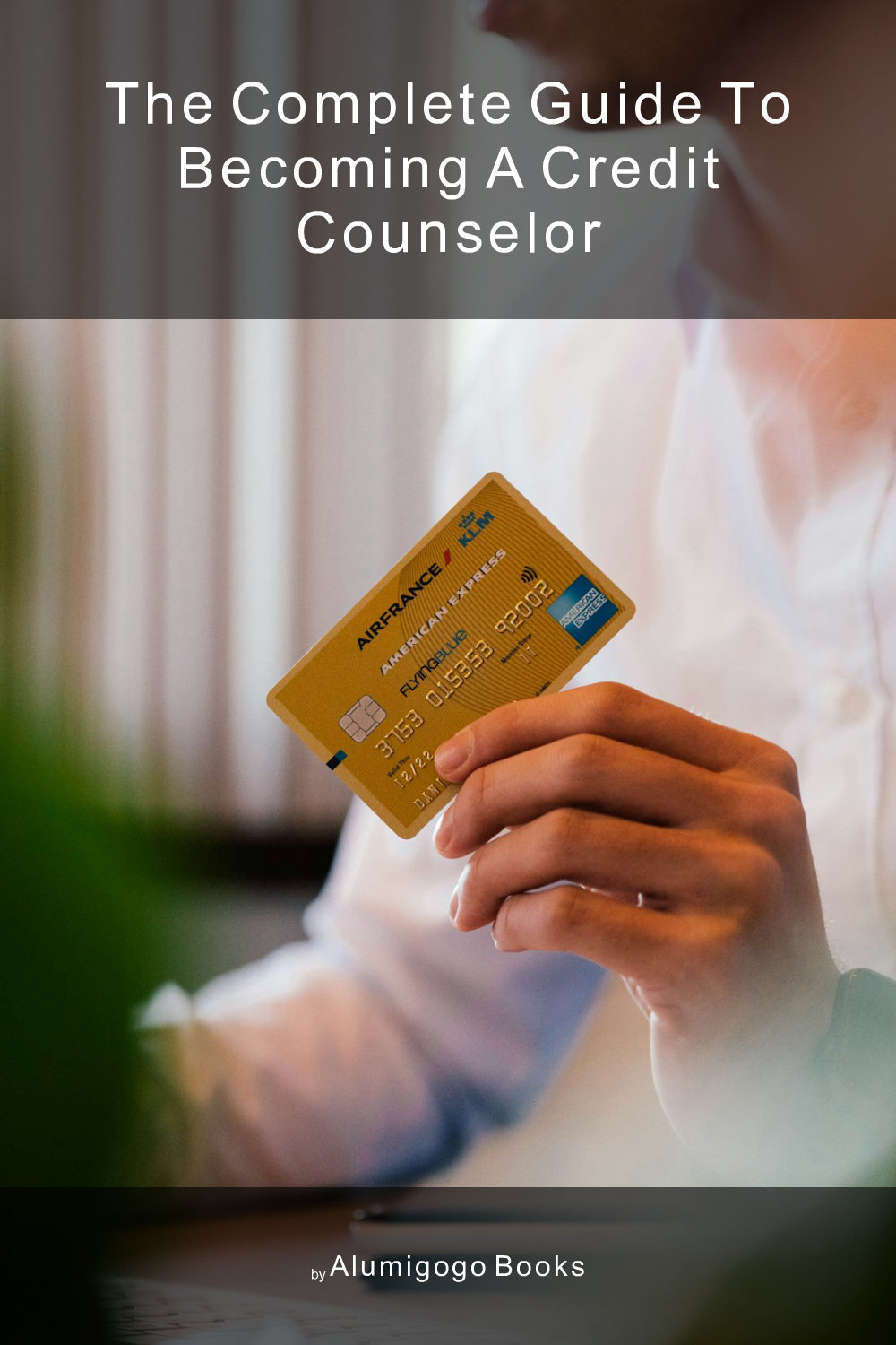 Cover of The Complete Guide to Becoming A Credit Counselor