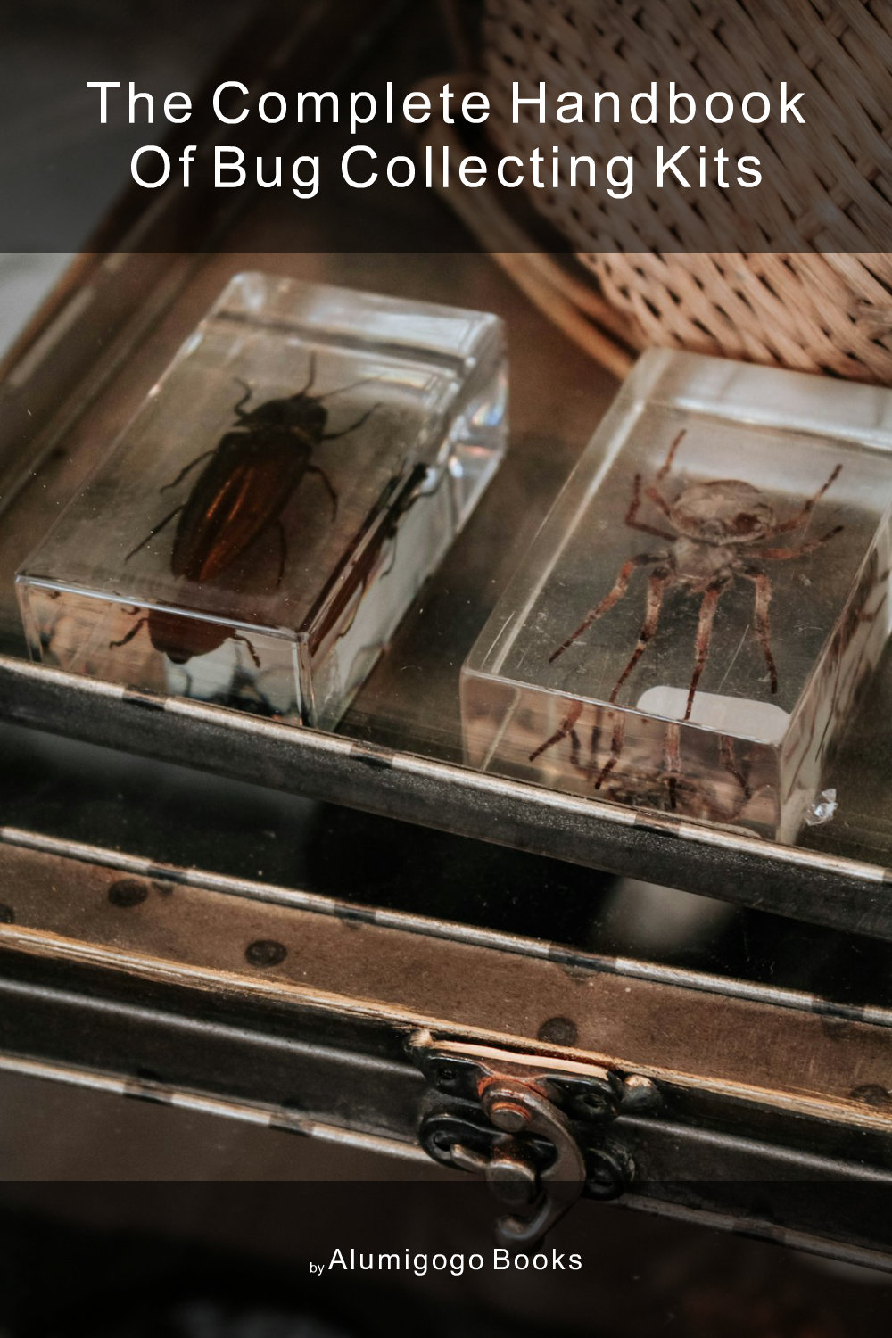 Cover of The Complete Handbook of Bug Collecting Kits