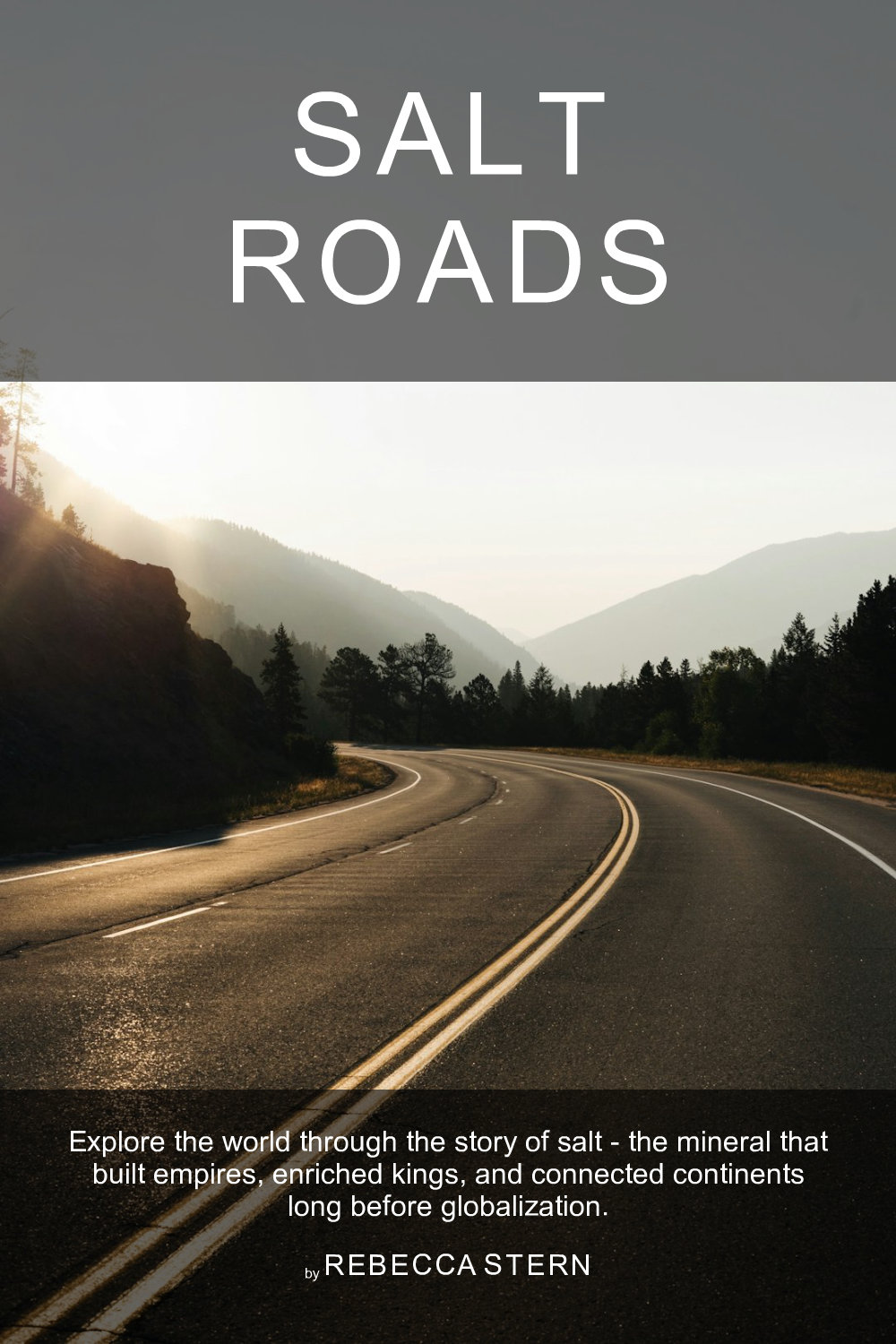 Cover of Salt Roads