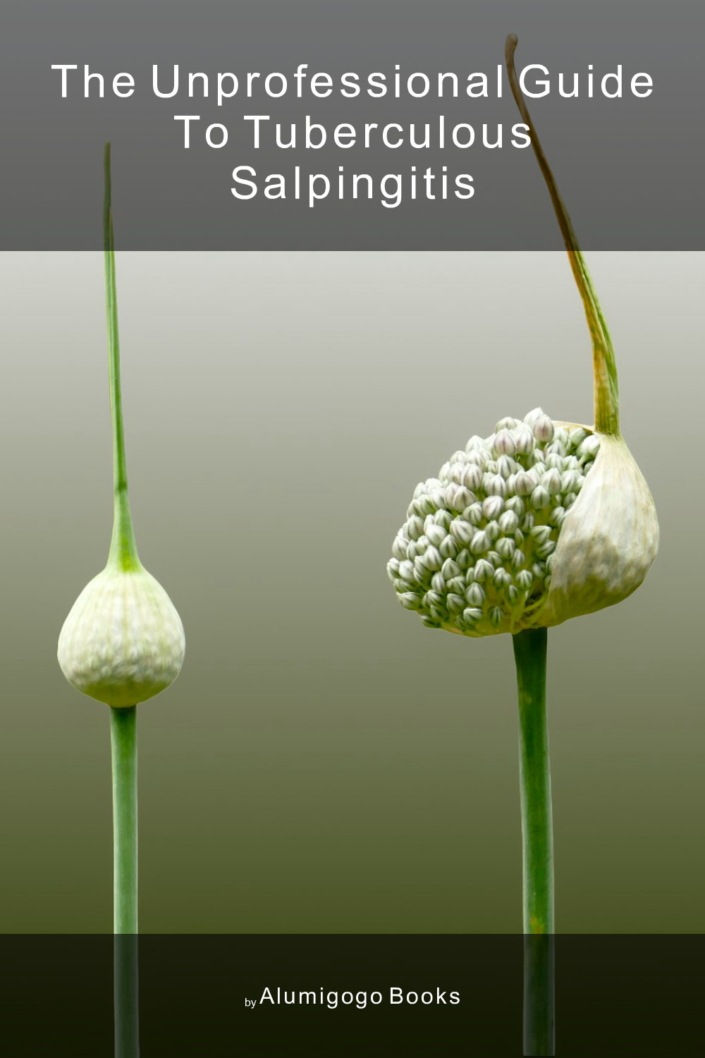 Cover of The Unprofessional Guide to tuberculous salpingitis