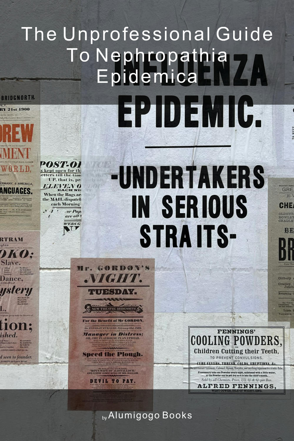 Cover of The Unprofessional Guide to nephropathia epidemica