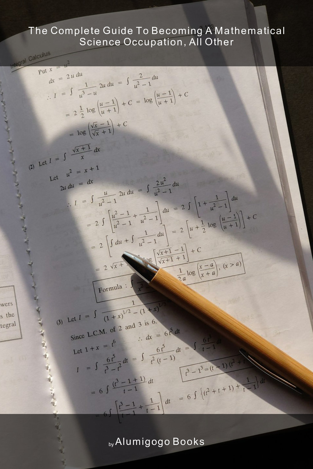 Cover of The Complete Guide to Becoming A Mathematical Science Occupation, All Other