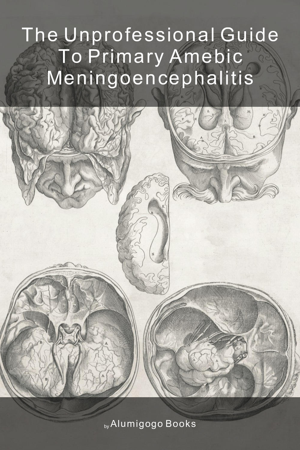 Cover of The Unprofessional Guide to primary amebic meningoencephalitis