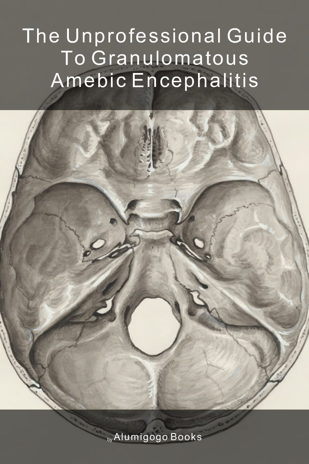 Cover of The Unprofessional Guide to granulomatous amebic encephalitis