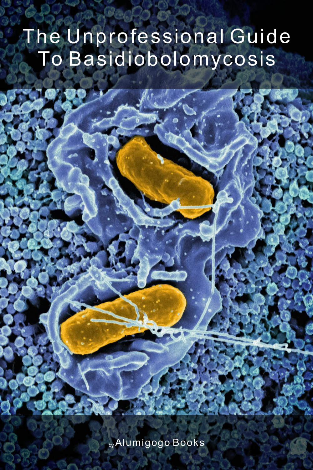 Cover of The Unprofessional Guide to basidiobolomycosis