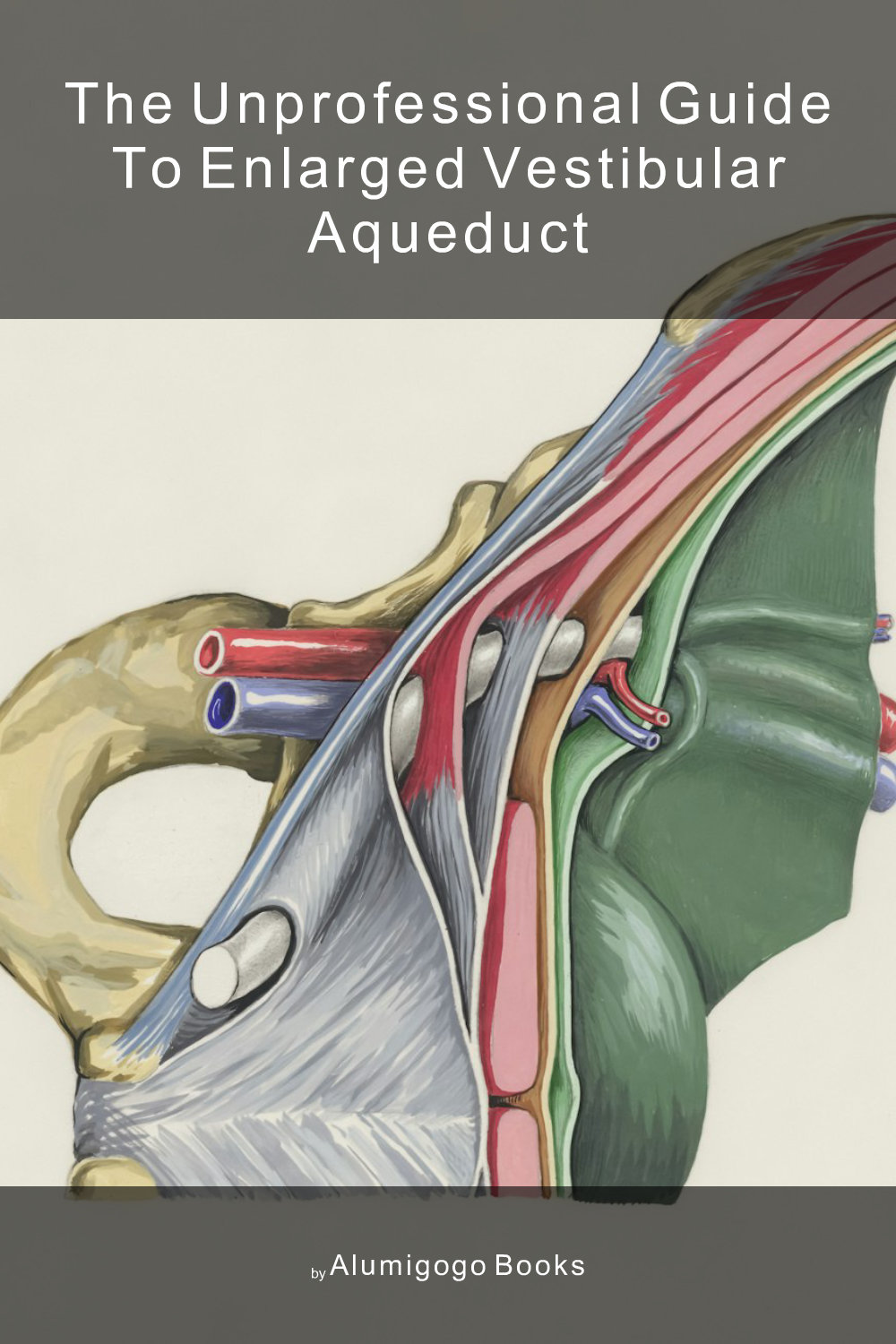 Cover of The Unprofessional Guide to enlarged vestibular aqueduct