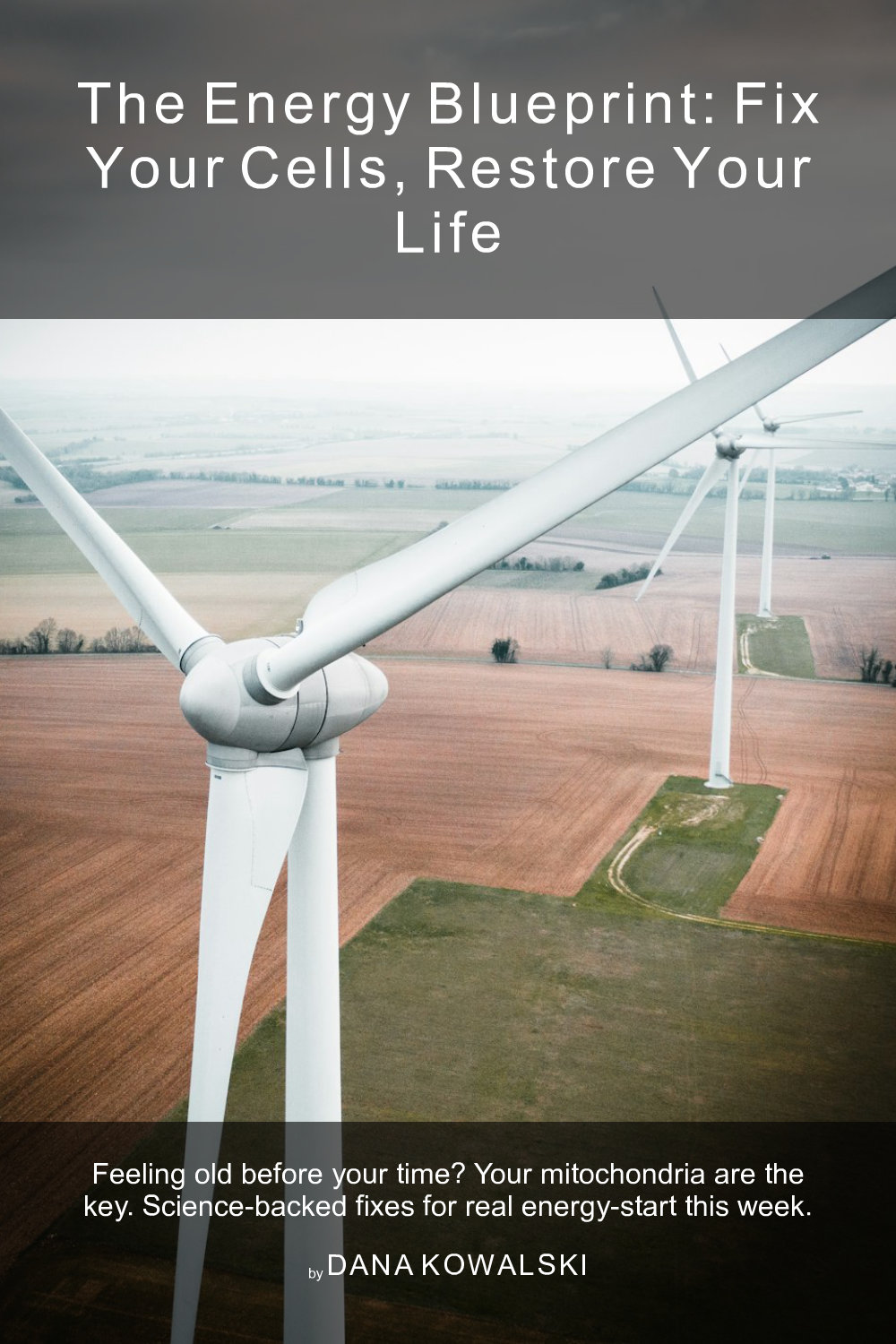 Cover of The Energy Blueprint: Fix Your Cells, Restore Your Life