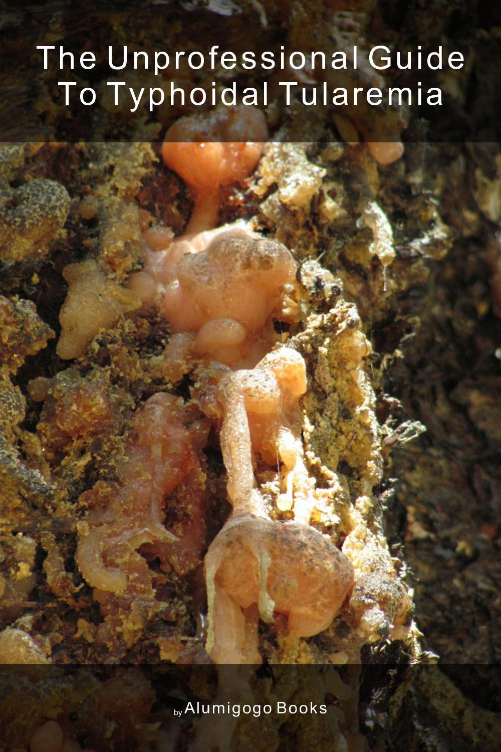 Cover of The Unprofessional Guide to typhoidal tularemia
