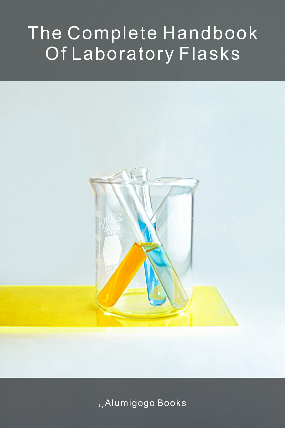 Cover of The Complete Handbook of Laboratory Flasks