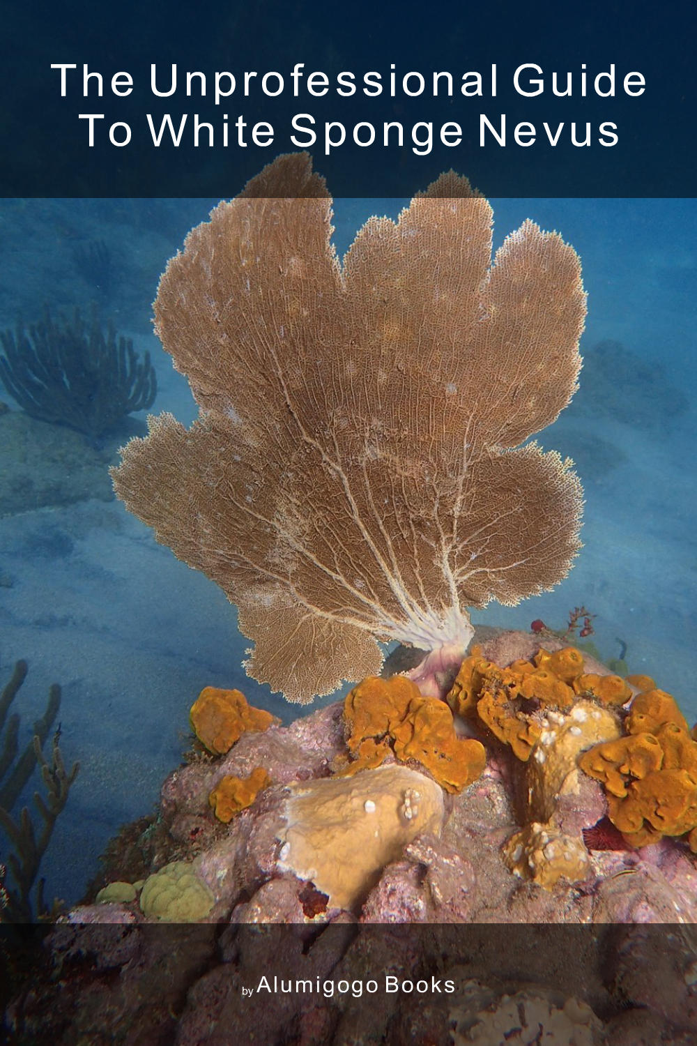 Cover of The Unprofessional Guide to white sponge nevus