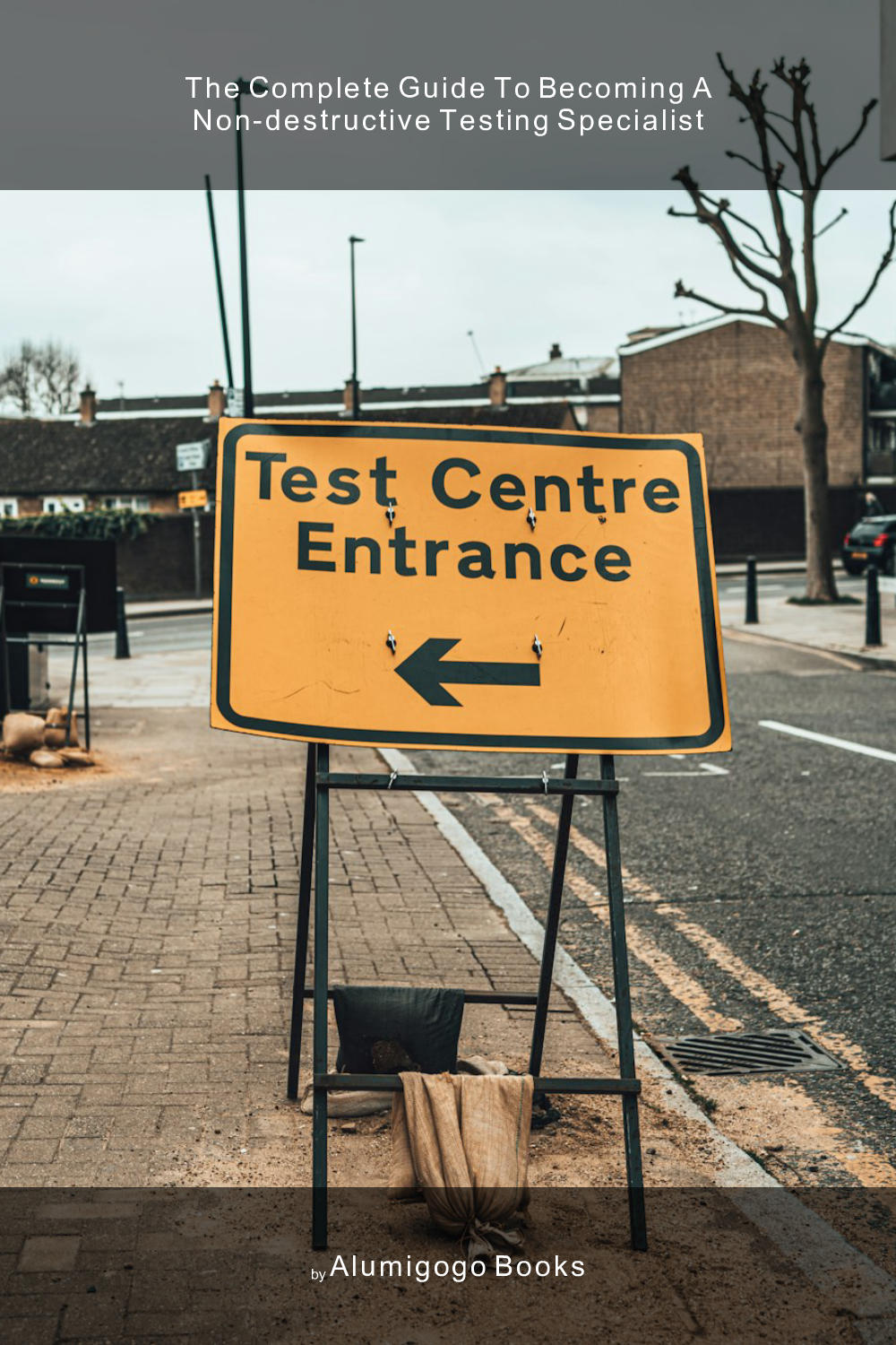 Cover of The Complete Guide to Becoming A Non-Destructive Testing Specialist
