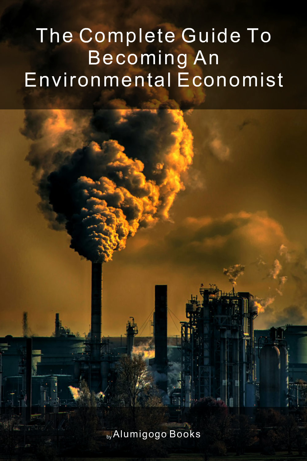 Cover of The Complete Guide to Becoming An Environmental Economist