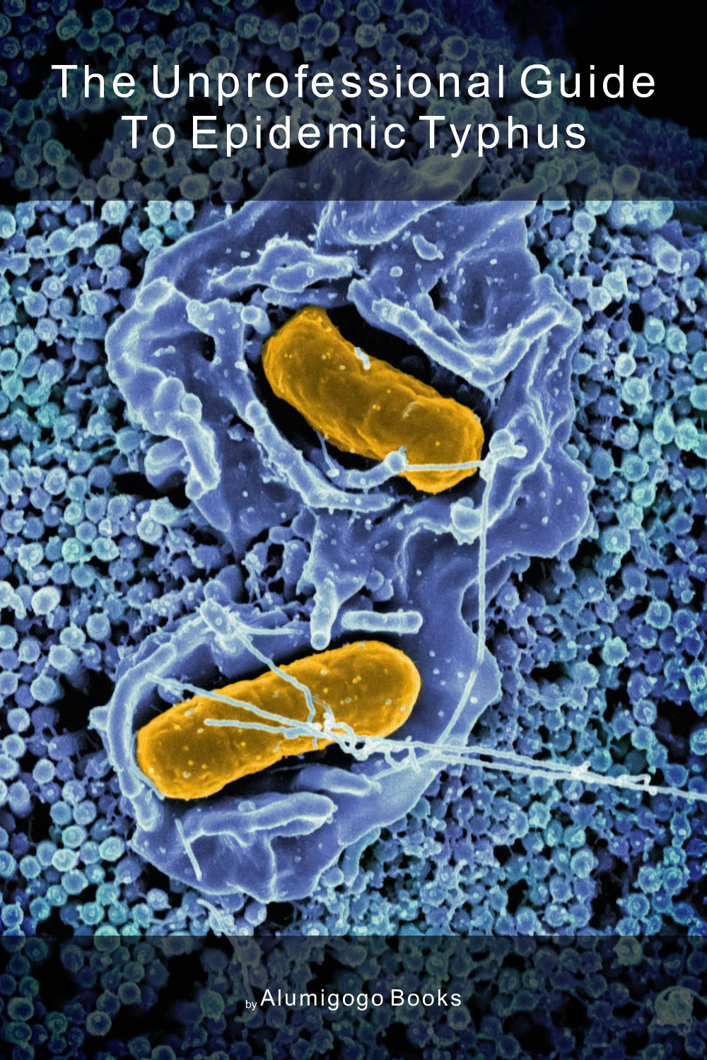 Cover of The Unprofessional Guide to epidemic typhus