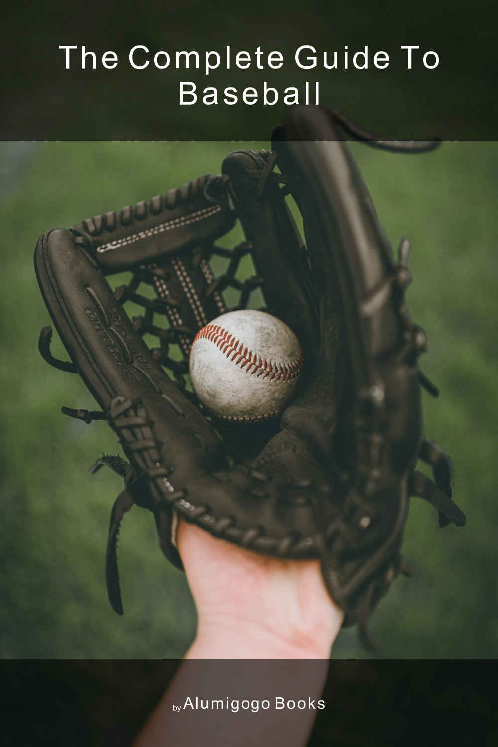 Cover of The Complete Guide to Baseball
