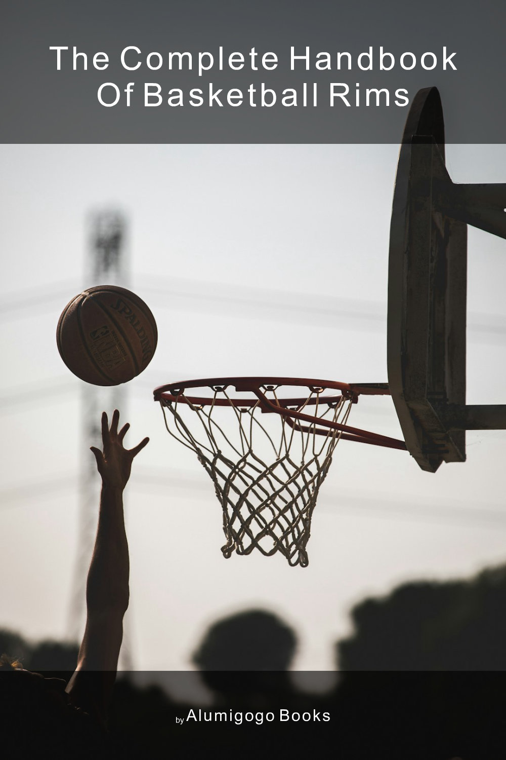 Cover of The Complete Handbook of Basketball Rims