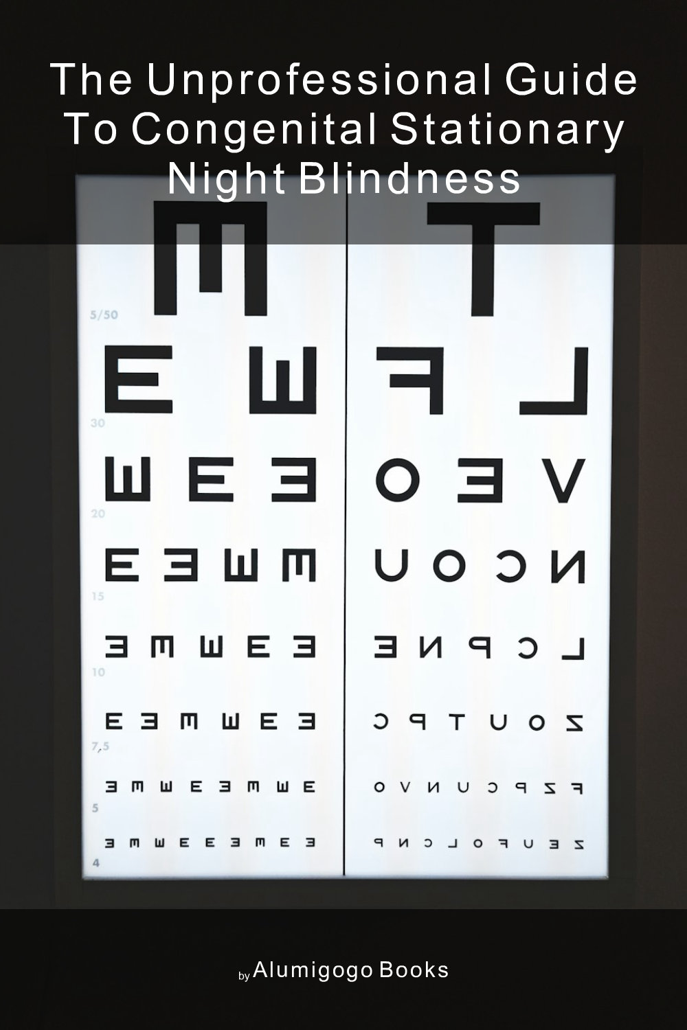 Cover of The Unprofessional Guide to congenital stationary night blindness