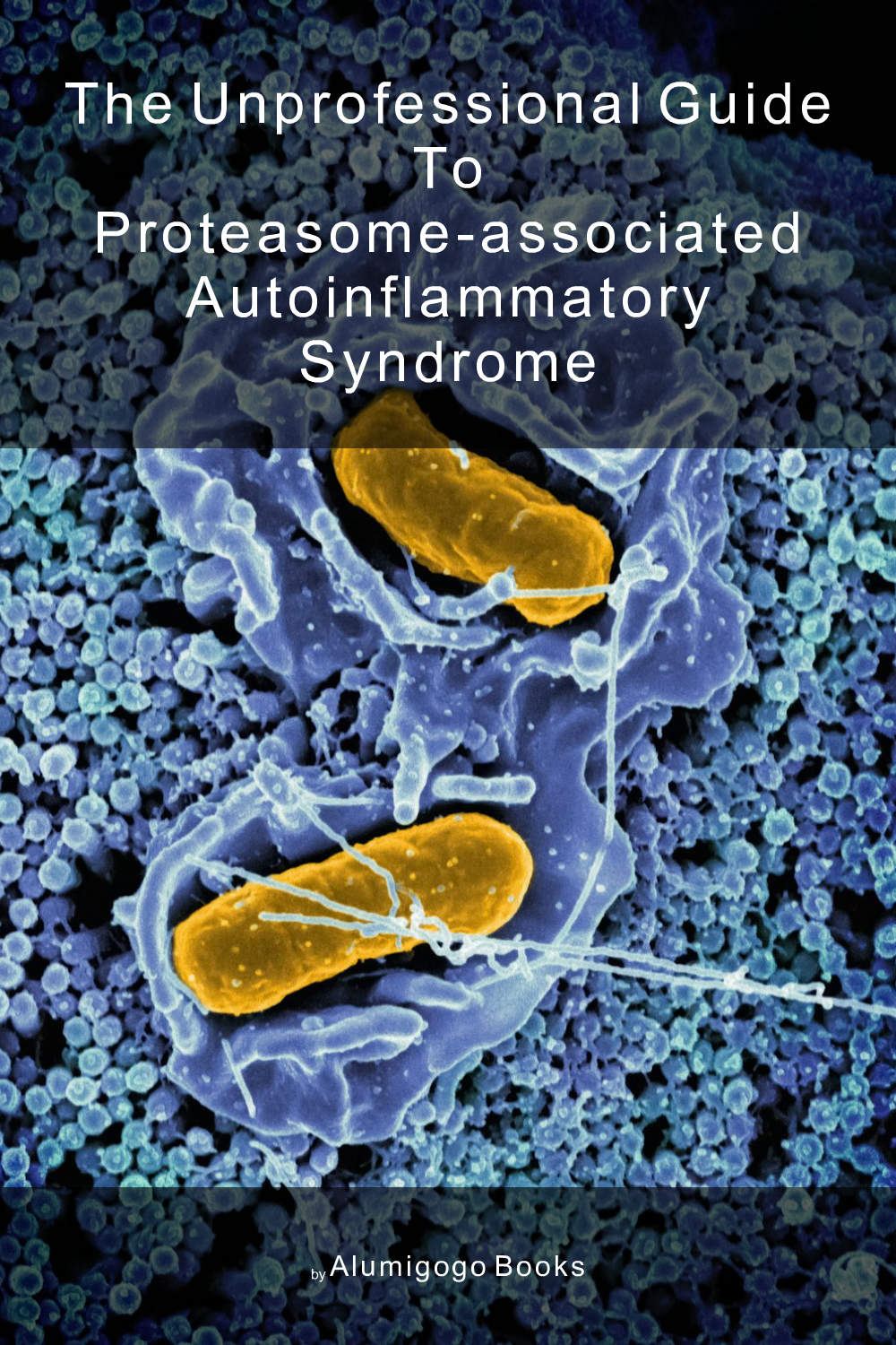 Cover of The Unprofessional Guide to proteasome-associated autoinflammatory syndrome