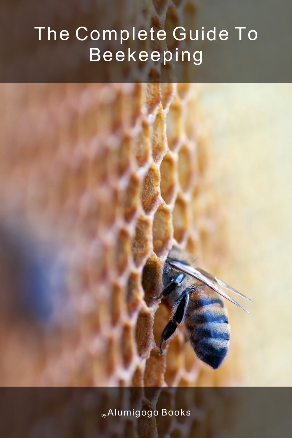 Cover of The Complete Guide to Beekeeping