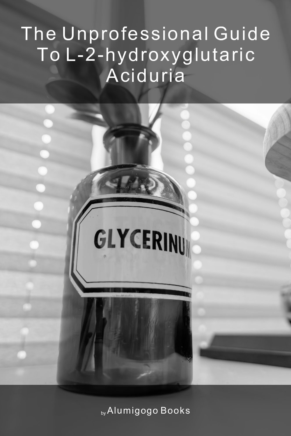 Cover of The Unprofessional Guide to L-2-hydroxyglutaric aciduria
