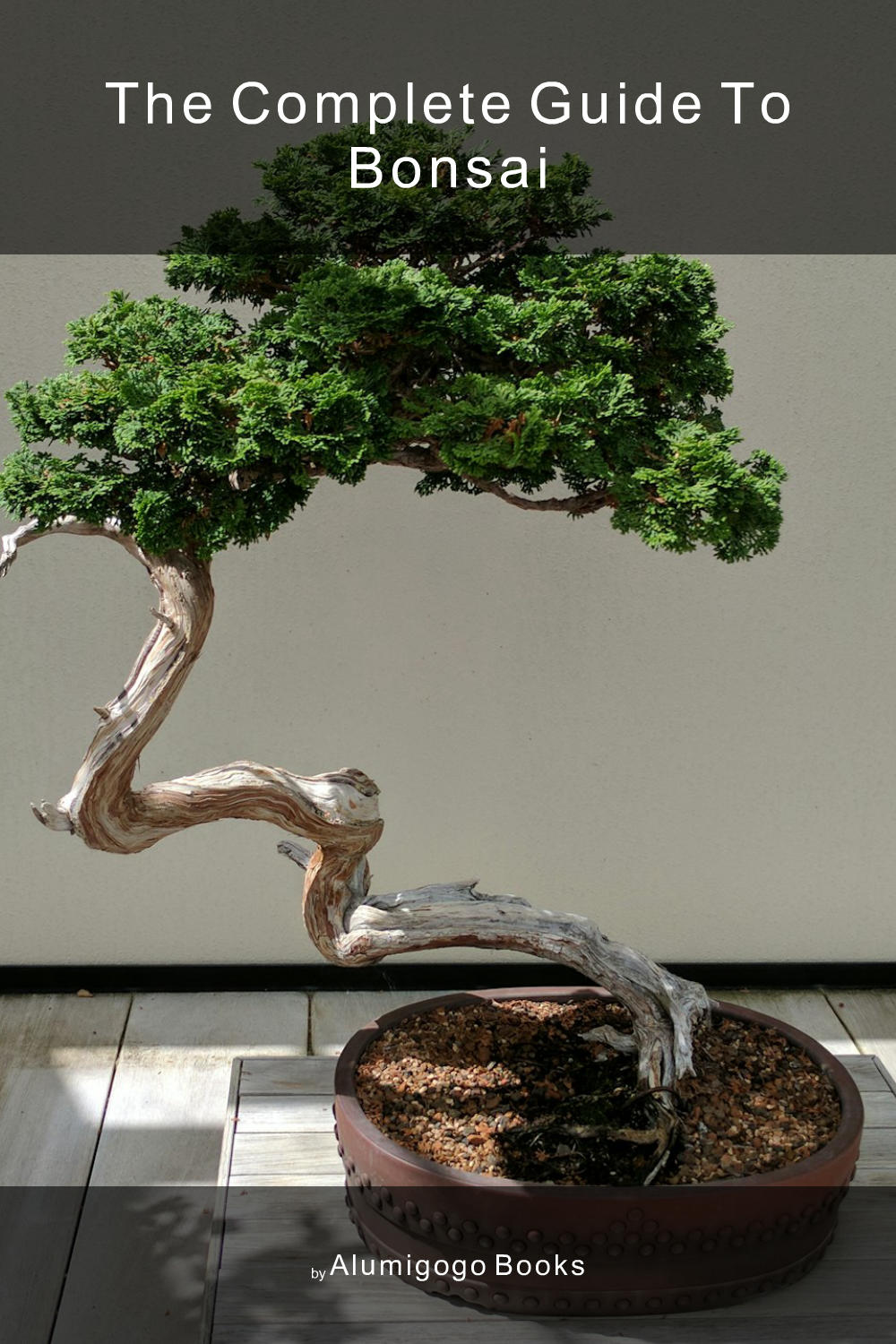 Cover of The Complete Guide to Bonsai