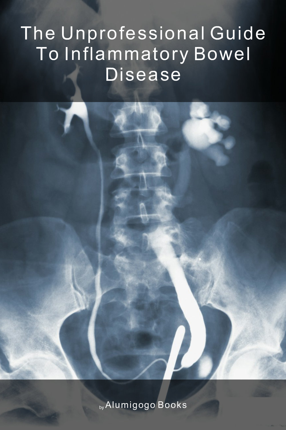 Cover of The Unprofessional Guide to inflammatory bowel disease