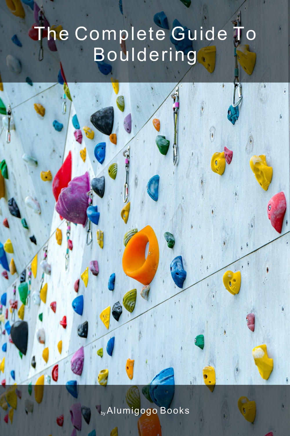 Cover of The Complete Guide to Bouldering