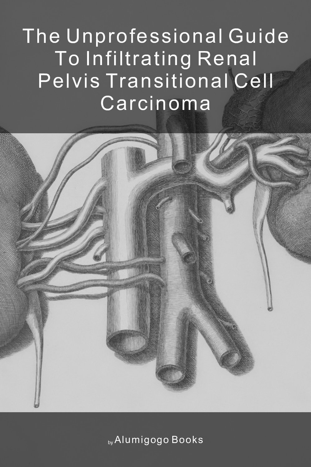 Cover of The Unprofessional Guide to infiltrating renal pelvis transitional cell carcinoma