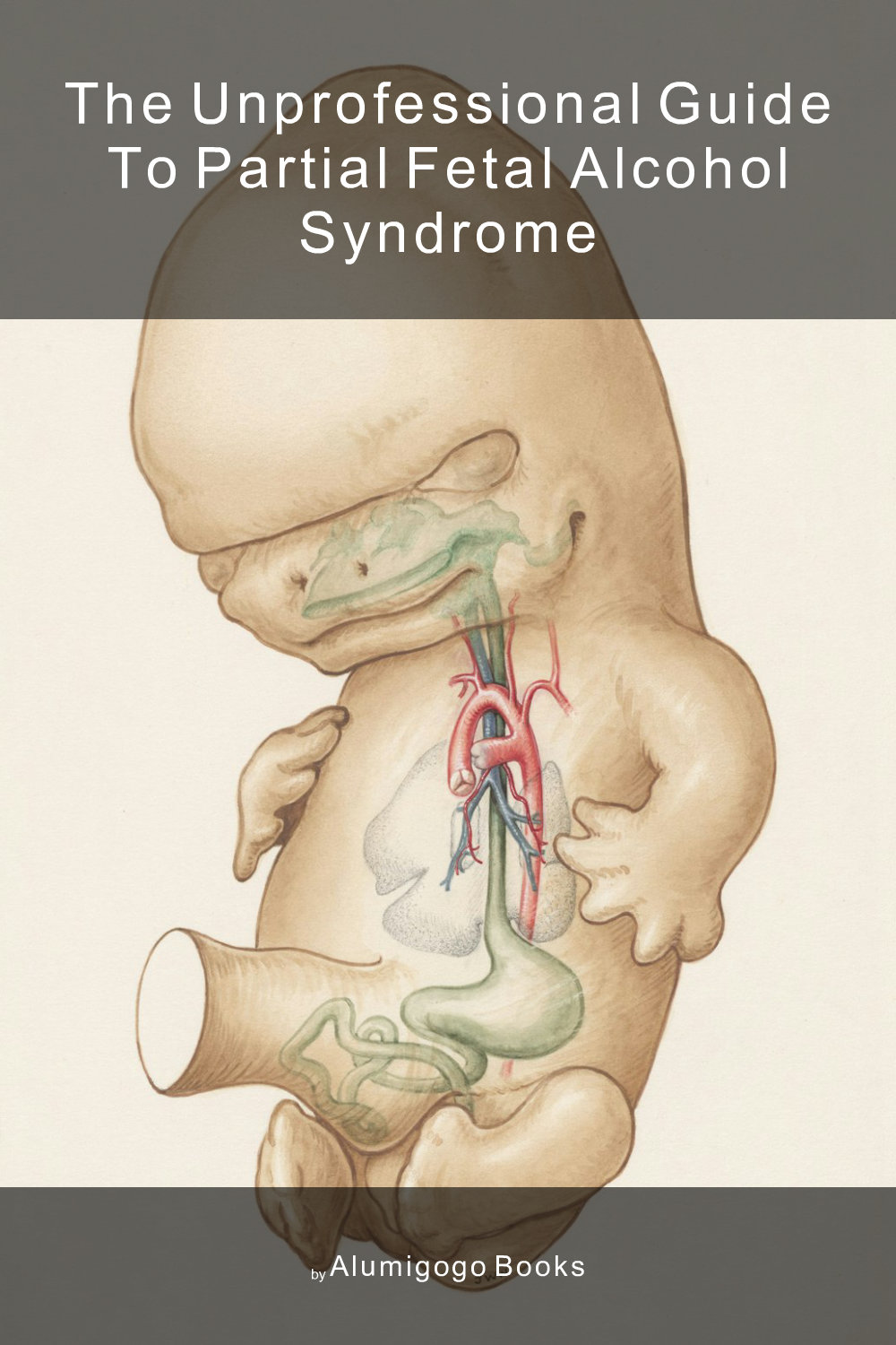 Cover of The Unprofessional Guide to partial fetal alcohol syndrome
