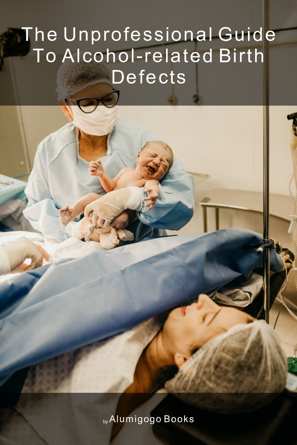 Cover of The Unprofessional Guide to alcohol-related birth defects