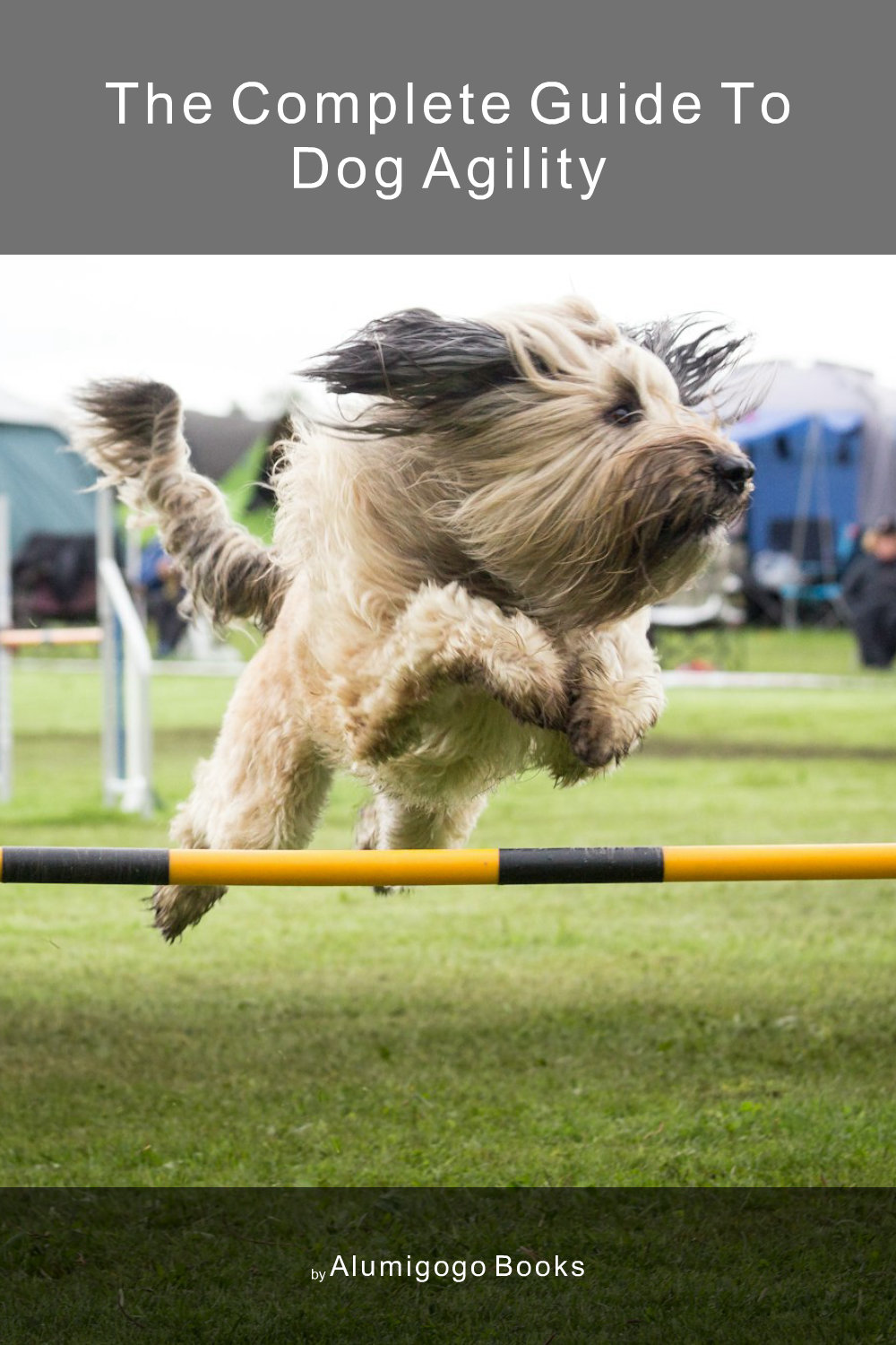Cover of The Complete Guide to Dog Agility