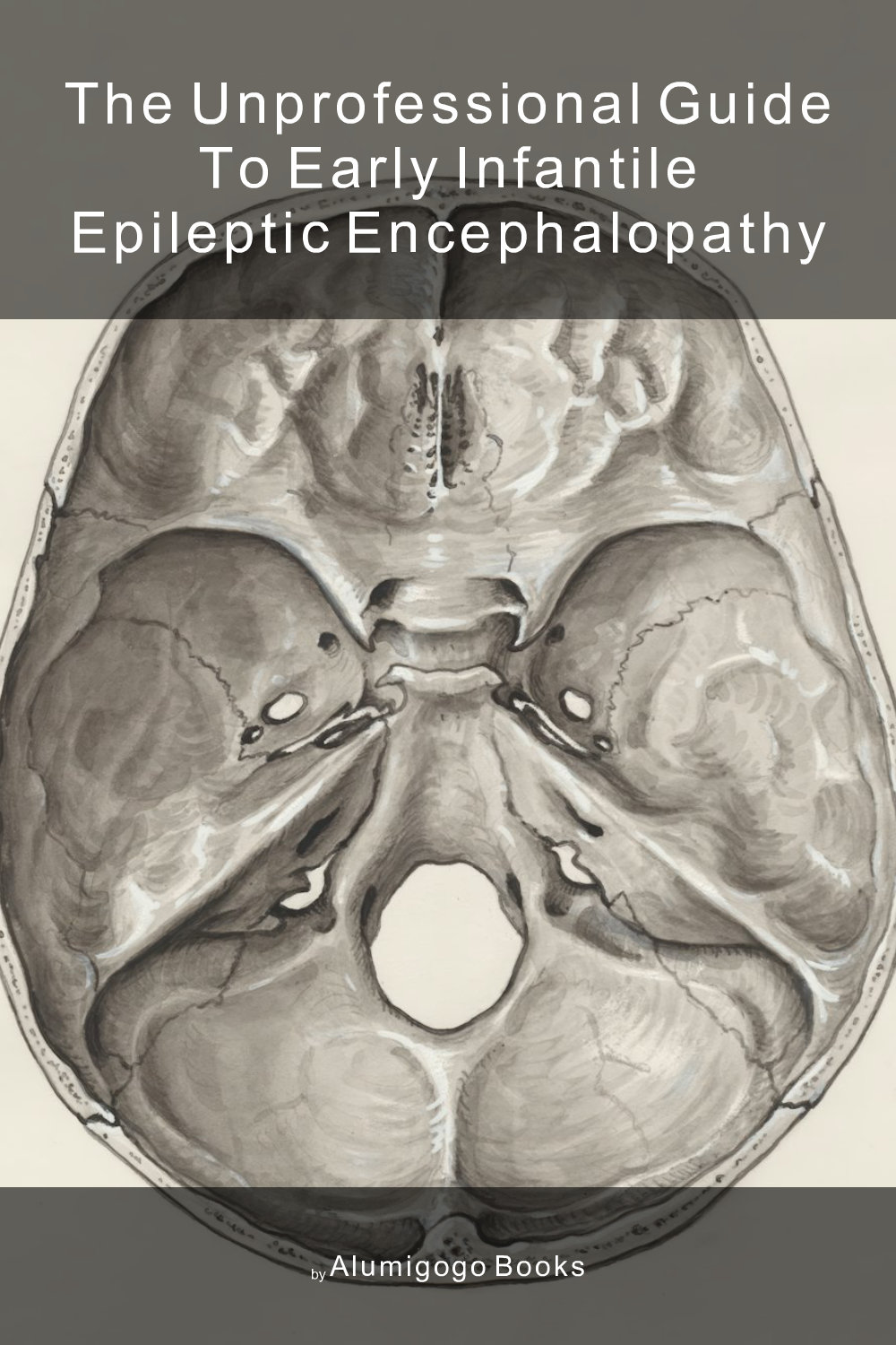 Cover of The Unprofessional Guide to early infantile epileptic encephalopathy