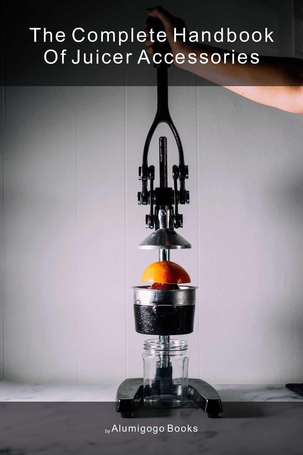 Cover of The Complete Handbook of Juicer Accessories